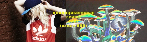 ешки Волоколамск