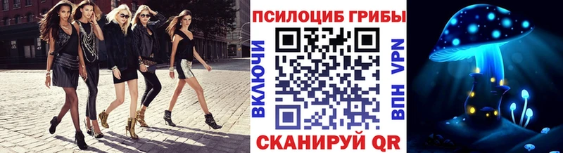 Купить закладки  Дальнегорск  Псилоцибиновые грибы Cubensis 