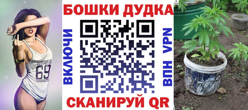 Купить где  Дальнегорск  Конопля ГИДРОПОН 