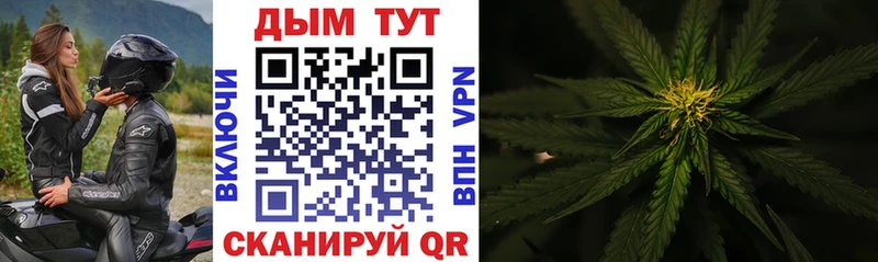 Шишки марихуана White Widow Дальнегорск